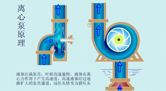 離心泵啟動時，出口閥門必須關閉嗎？